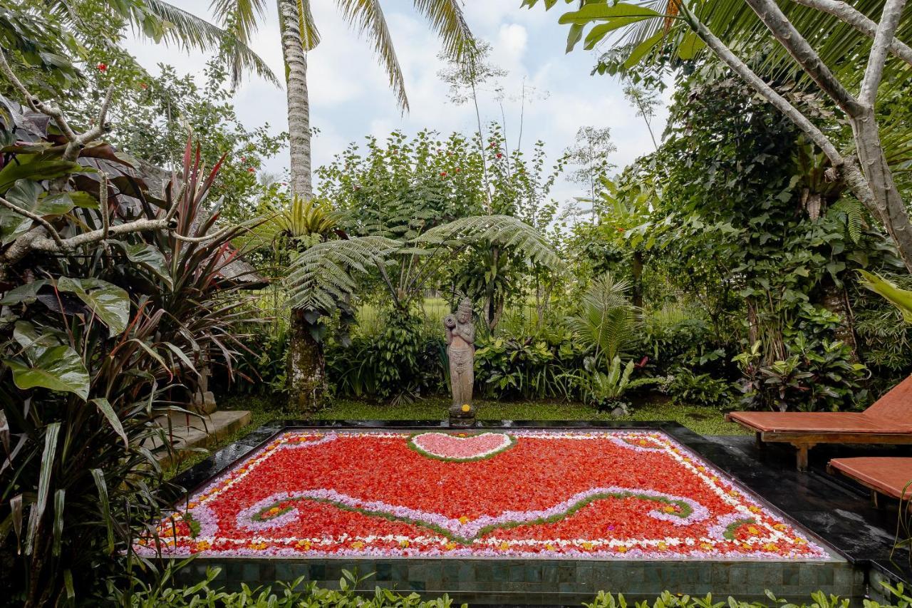 Moringa Ubud Villa Exterior foto