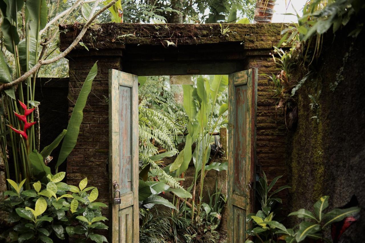 Moringa Ubud Villa Exterior foto